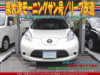 泉大津モーニングサン号/リーフ改造02