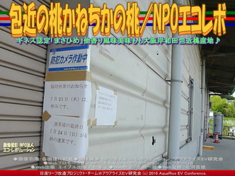 包近の桃／リーフ改造NPOエコレボ03