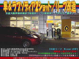 隼＆ラプソディア２ショット／リーフ改造04