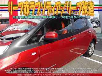 リーフ赤ラプソディア(3)／リーフ改造02
