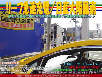 リーフ急速充電/日産大阪鳳南@リーフカスタム06