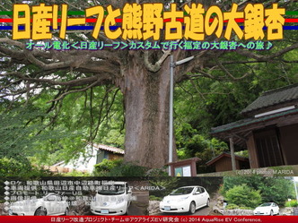 日産リーフと熊野古道の大銀杏@リーフカスタム03