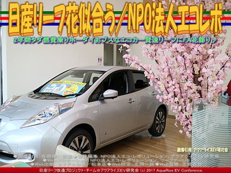 日産リーフ花似合う(3)/NPOエコレボ画像02 日産リーフ花似合う(3)/NPOエコレボ画像02