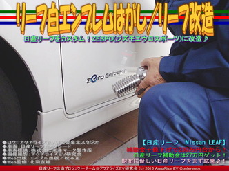 リーフ白エンブレムはがし(2)/リーフ改造02