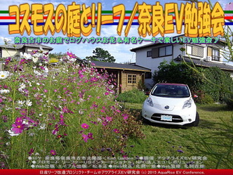コスモスの庭とリーフ(2)／奈良ＥＶ勉強会04