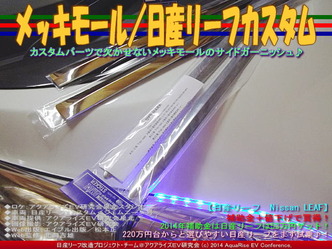 メッキモール/日産リーフカスタム01