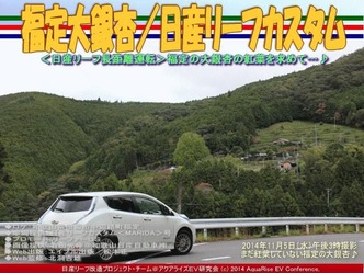 福定大銀杏／日産リーフカスタム05