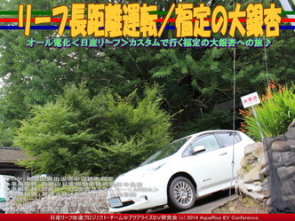 リーフ長距離運転／福定の大銀杏@日産リーフ改造03