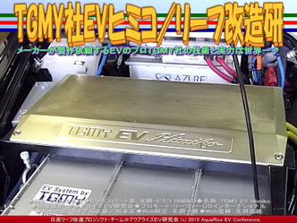 TGMY社EVヒミコ／リーフ改造研04