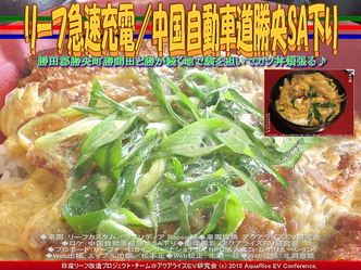 リーフ急速充電／中国自動車道勝央SA下り04