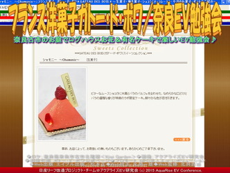 フランス洋菓子ガトー・ド・ボワ／奈良ＥＶ勉強会04