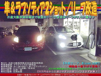 隼＆ラプソディア２ショット／リーフ改造02