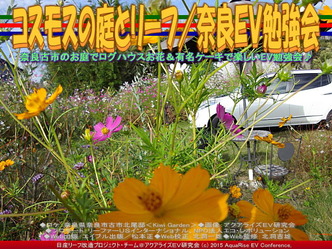 コスモスの庭とリーフ(2)／奈良ＥＶ勉強会01