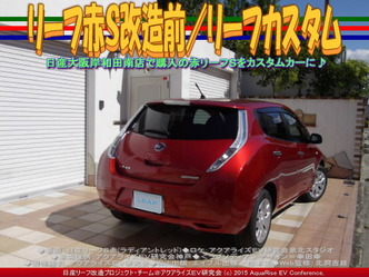 リーフ赤Ｓ改造前(2)／リーフカスタム05