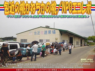 かねちか桃／NPOエコレボリーフ改造01