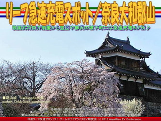 リーフ急速充電スポット／奈良大和郡山02