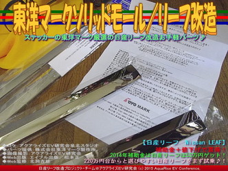 東洋マークソリッドモール／リーフ改造04