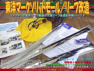 東洋マークソリッドモール／リーフ改造03