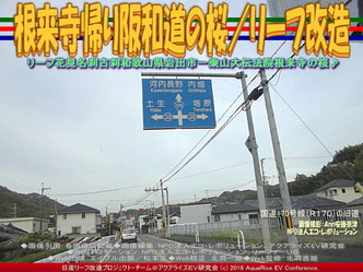 根来寺帰り阪和道の桜/リーフ改造05 根来寺帰り阪和道の桜/リーフ改造05