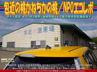 包近の桃／リーフ改造NPOエコレボ01