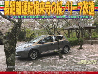 長距離運転根来寺の桜/リーフ改造03 長距離運転根来寺の桜/リーフ改造03