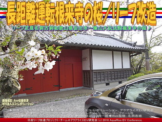 長距離運転根来寺の桜(3)／リーフ改造04