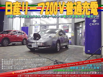日産リーフ200V普通充電@リーフカスタム09