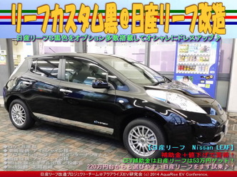 リーフカスタム黒@日産リーフ改造01