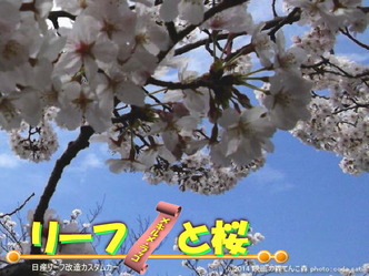 リーフと桜＠日産リーフ改造4