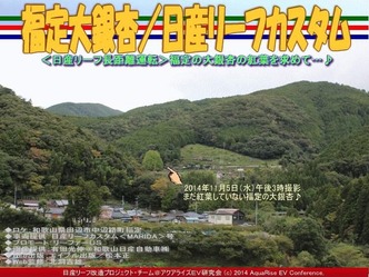 福定大銀杏／日産リーフカスタム03