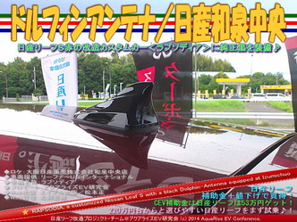 ¥É¥ë¥Õ¥£¥ó¥¢¥ó¥Æ¥Ê¡¿Æü»ºÏÂÀôÃæ±û¡÷¥ê¡¼¥Õ¥«¥¹¥¿¥à08