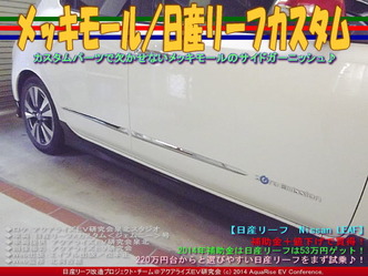 メッキモール/日産リーフカスタム05