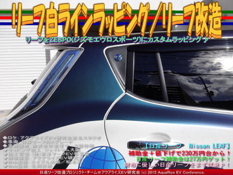 リーフ白ラインラッピング(5)／リーフ改造03