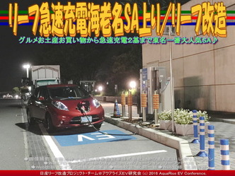 リーフ急速充電海老名SA上り/リーフ改造02 リーフ急速充電海老名SA上り/リーフ改造02