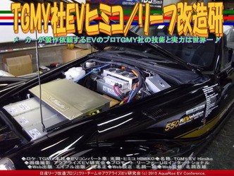 TGMY社EVヒミコ／リーフ改造研02