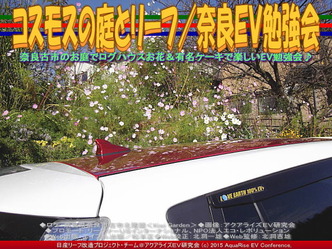 コスモスの庭とリーフ／奈良ＥＶ勉強会02