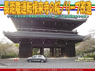 長距離運転根来寺の桜(3)/リーフ改造03 長距離運転根来寺の桜(3)/リーフ改造03