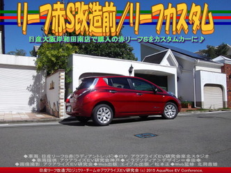 リーフ赤S改造前/リーフカスタム05