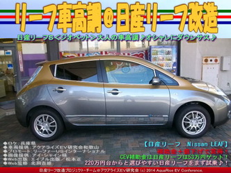 リーフ車高調@日産リーフ改造01