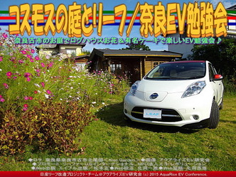 コスモスの庭とリーフ(2)／奈良ＥＶ勉強会03
