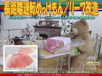 長距離運転めっけもん(5)／リーフ改造02