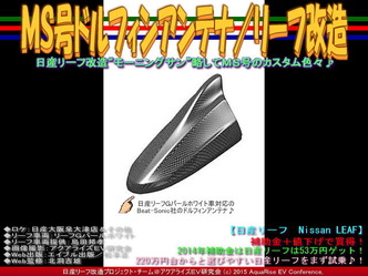 ＭＳ号ドルフィンアンテナ／リーフ改造02