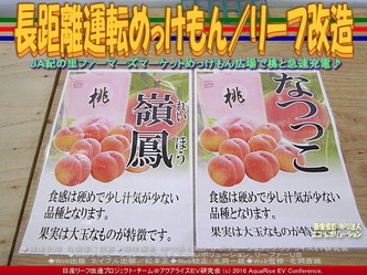 長距離運転めっけもん(4)/リーフ改造02 長距離運転めっけもん(4)/リーフ改造02