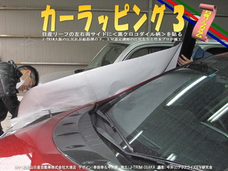 カーラッピング３01＠日産リーフ改造