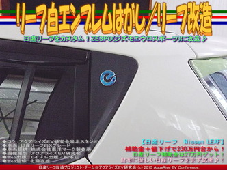 リーフ白エンブレムはがし(3)/リーフ改造03