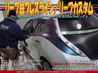 リーフ白プレスライン/リーフカスタム05