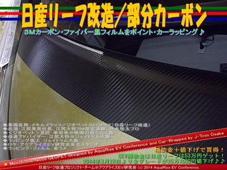 日産リーフ改造/部分カーボン@アクアライズEV研究会09