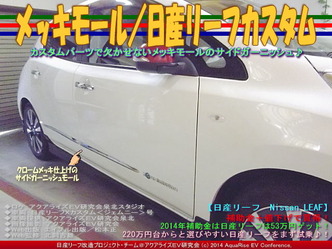 メッキモール/日産リーフカスタム04