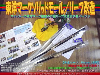 東洋マークソリッドモール／リーフ改造02