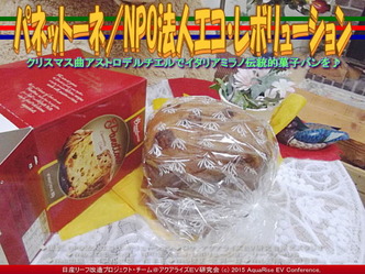 パネットーネ(2)/NPO法人エコ・レボリューション01 パネットーネ(2)/NPO法人エコ・レボリューション01